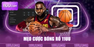Mẹo cược bóng rổ 11UU